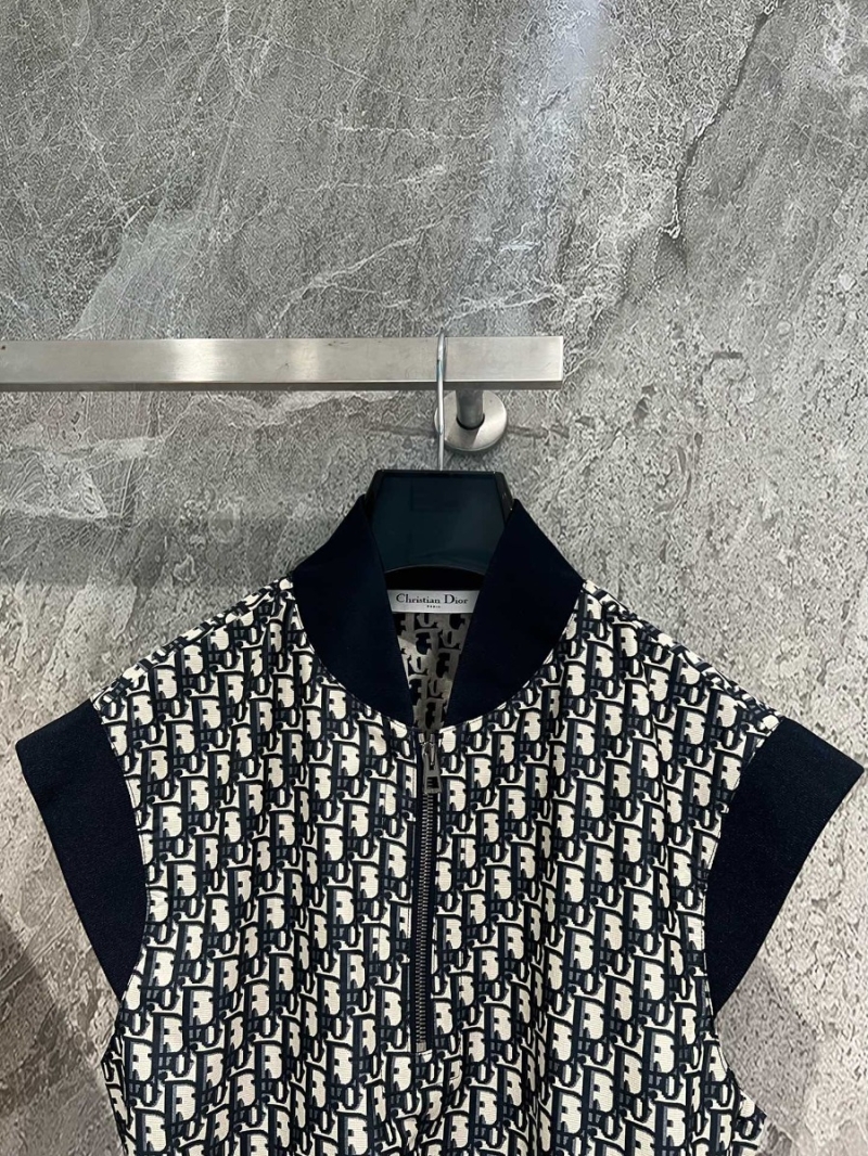 Dior 24 Early Spring Vintage Print Dress