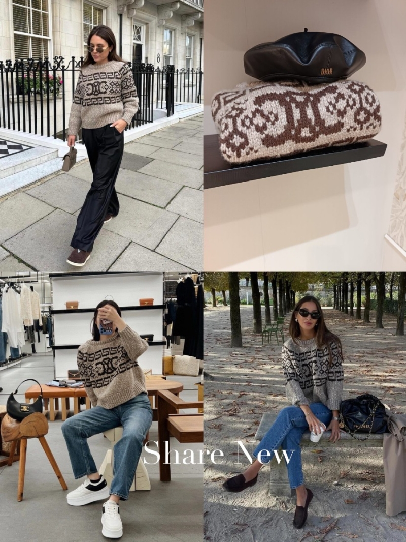 Celine Fair Isle Chunky Knit Wool Sweater - Beige & Brown Pattern