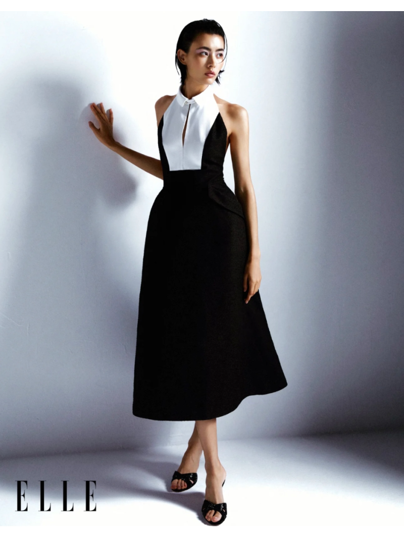Dior Spring 2025 Royal Luxe Sleeveless Gown Dress – Timeless Majesty in Black and White